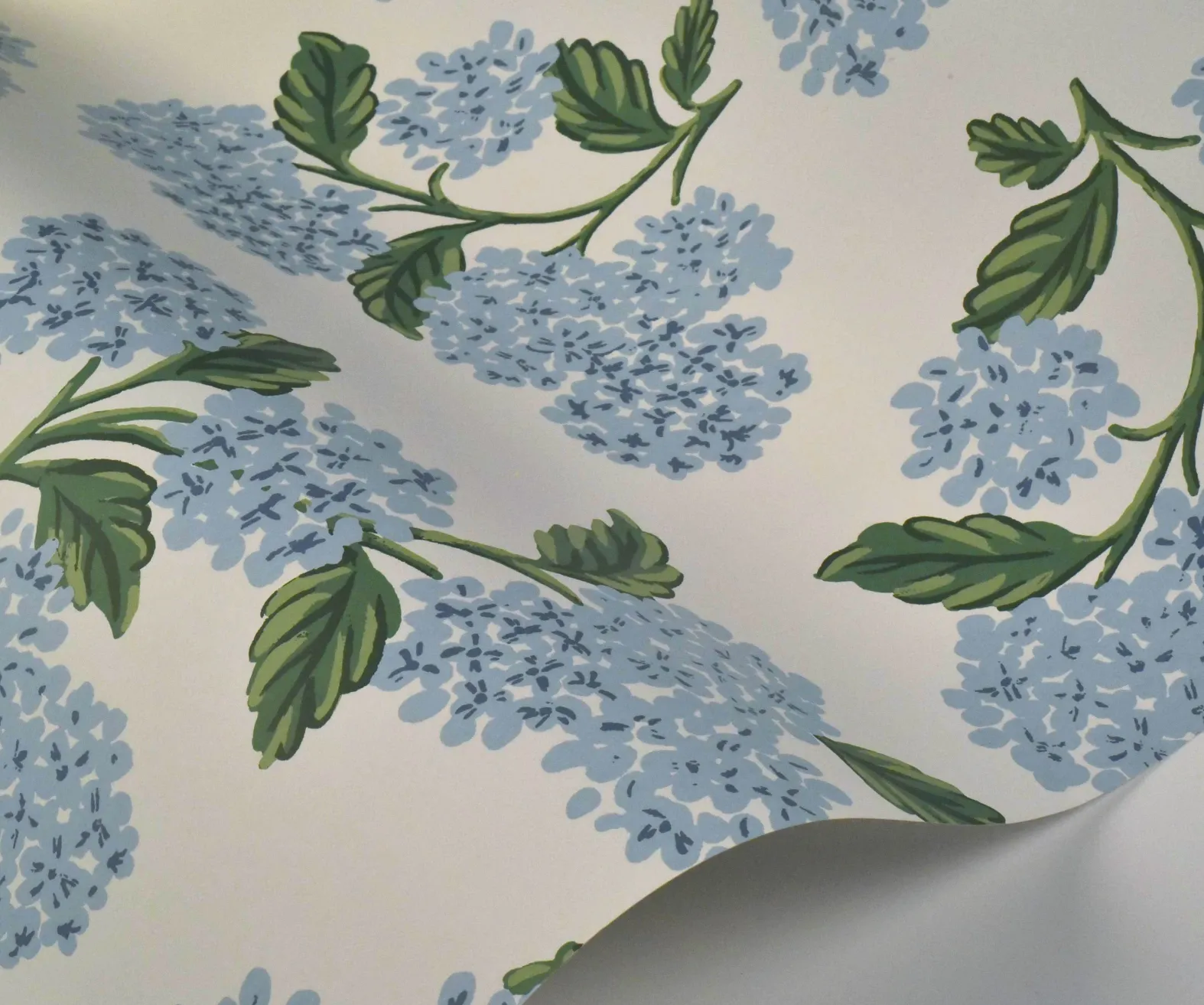 Hydrangea Wallpaper