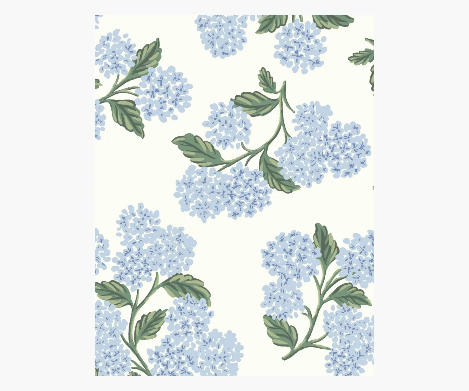 Hydrangea Wallpaper