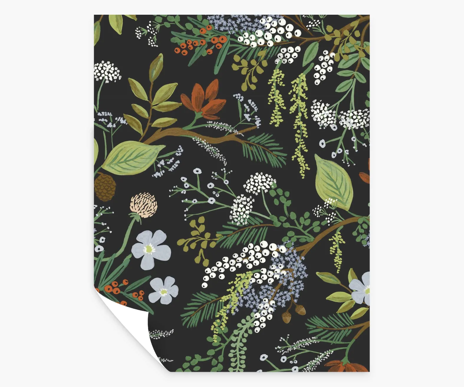 Juniper Forest Peel & Stick Wallpaper Sample