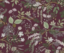 Juniper Forest Wallpaper
