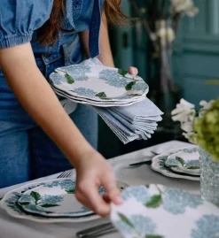 Melamine Assorted Dinner Plates