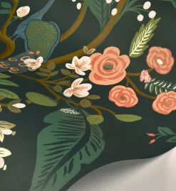 Peacock Wallpaper