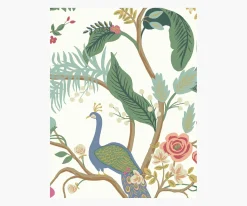 Peacock Wallpaper