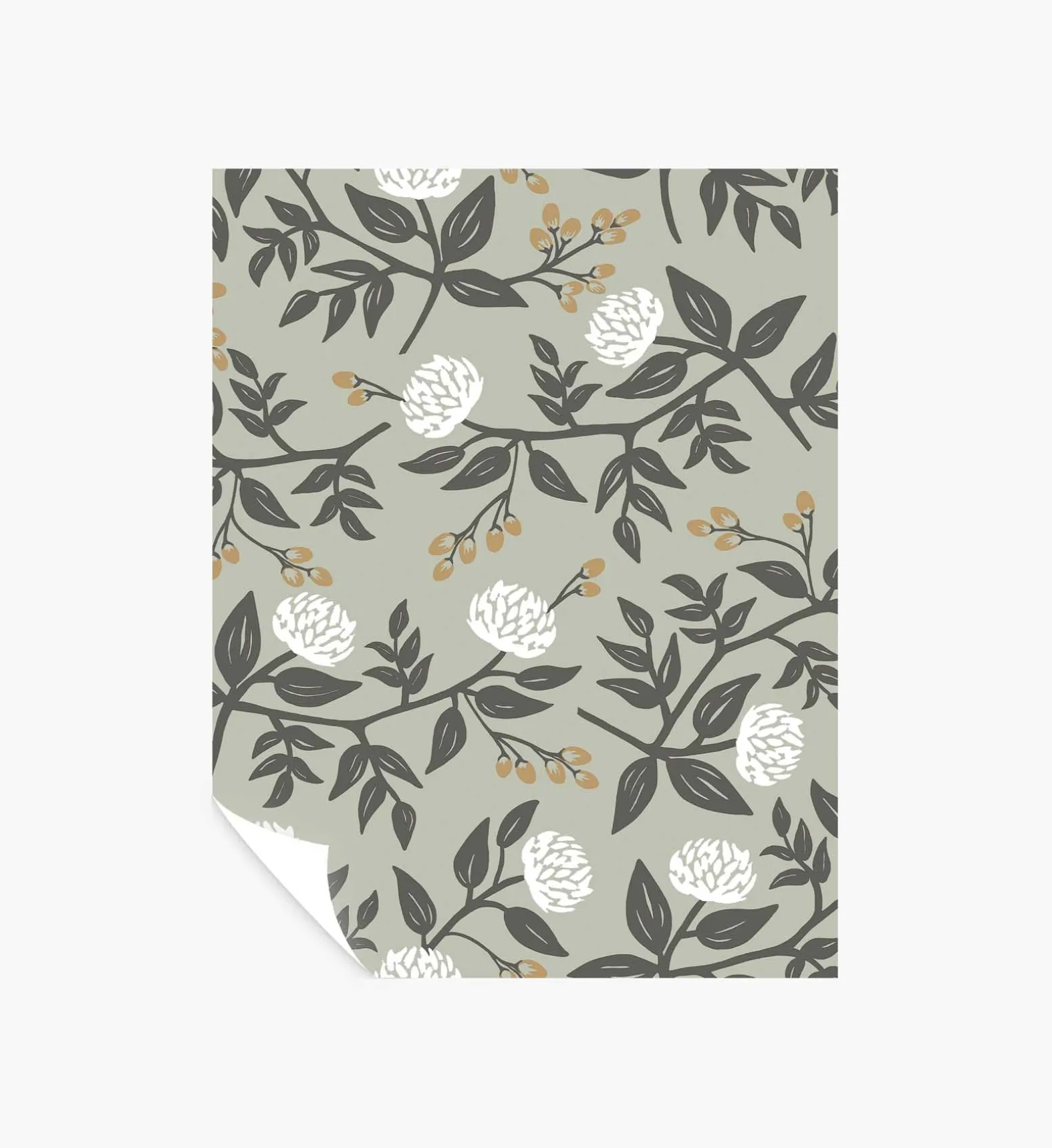 Peonies Peel & Stick Wallpaper Sample
