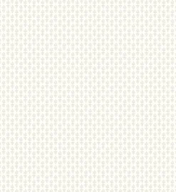 Petal Wallpaper