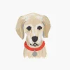 Pets Personalized Stationery
