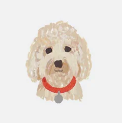 Pets Personalized Stationery