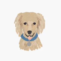 Pets Personalized Stationery