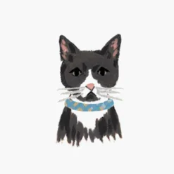 Pets Personalized Stationery