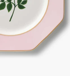 Porcelain Dessert Plate Set