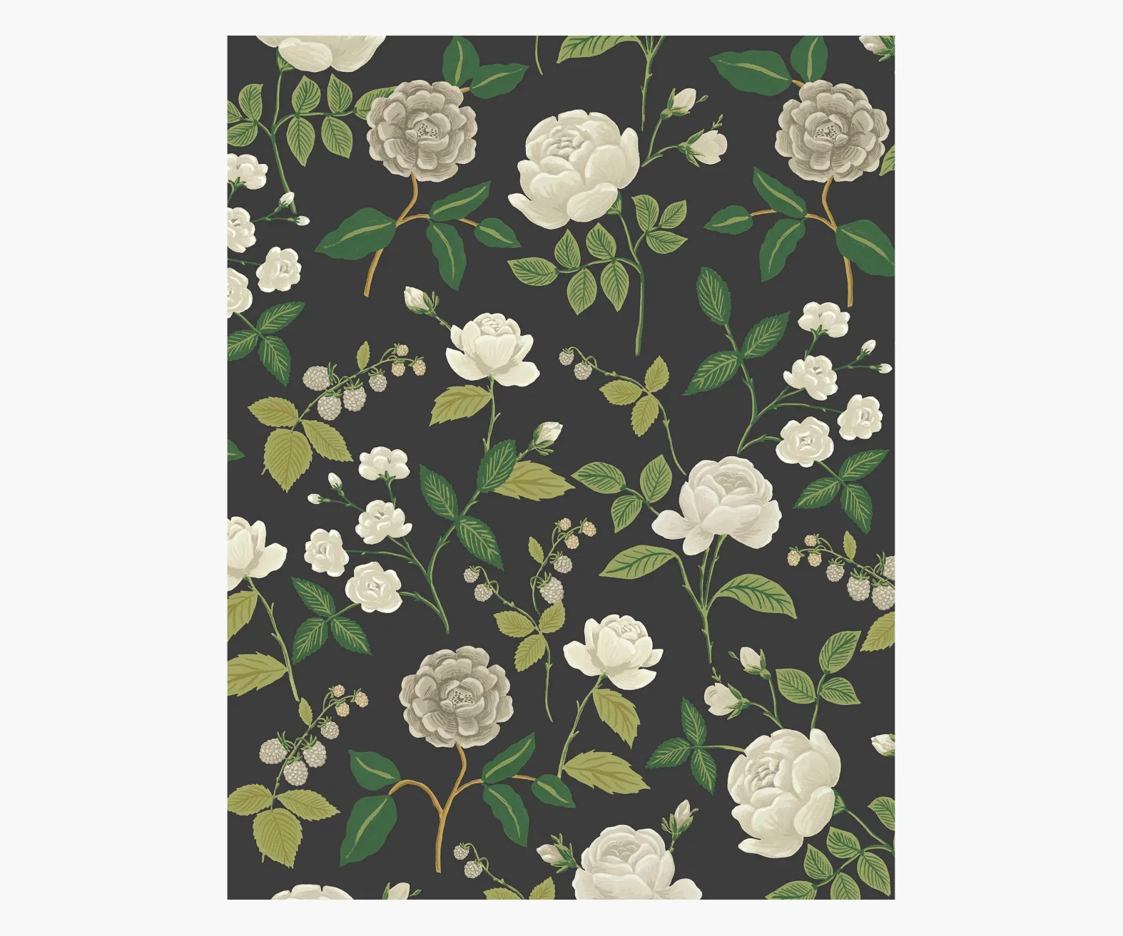 Roses Wallpaper