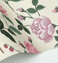 Roses Wallpaper