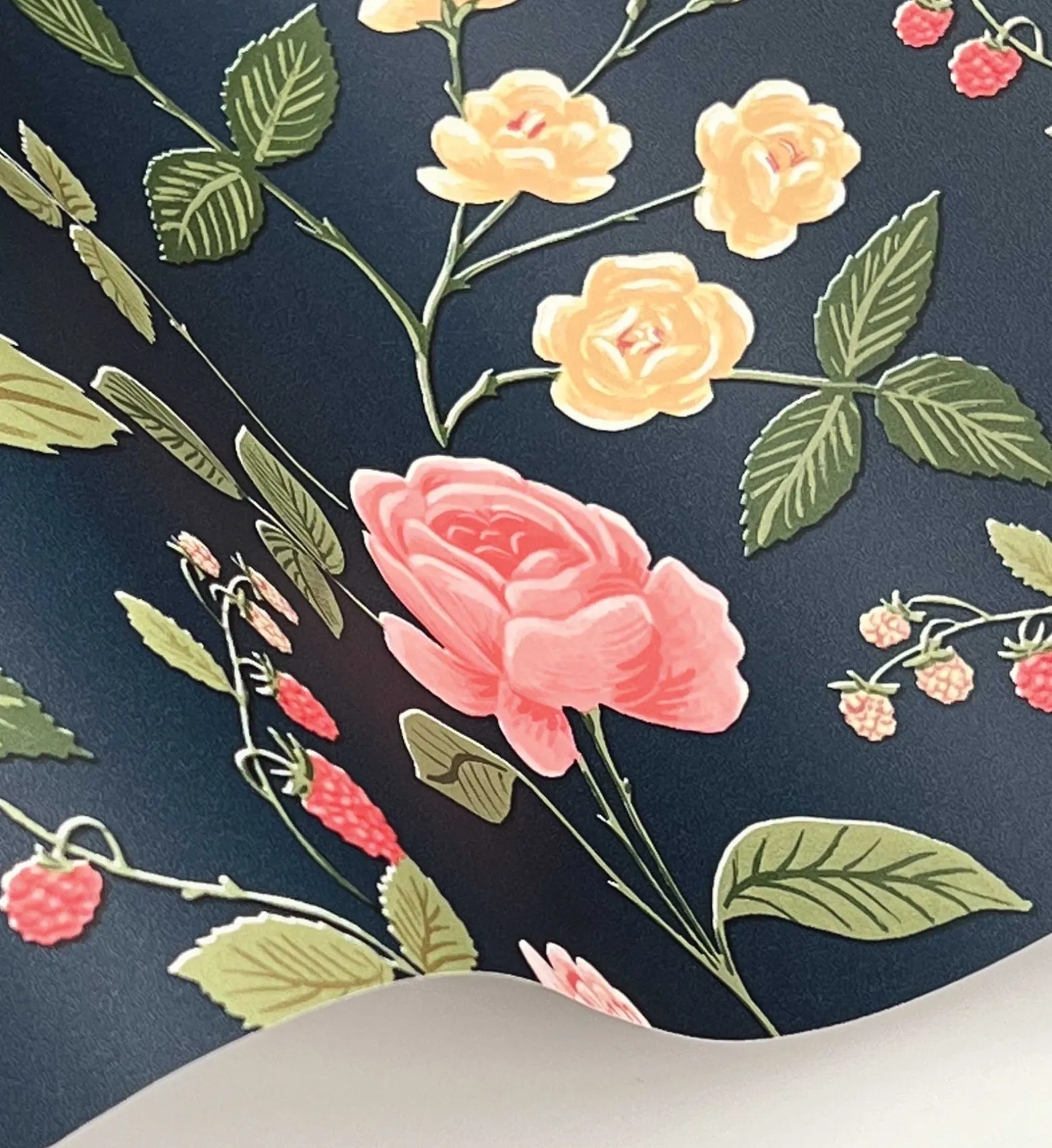 Roses Wallpaper