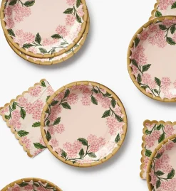 Small Paper Plates