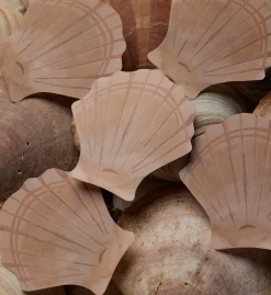 Sticky Notes