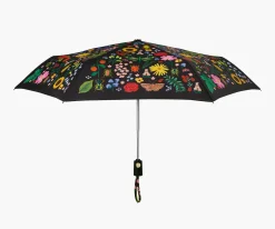 Umbrella