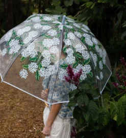 Umbrella