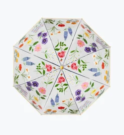 Umbrella