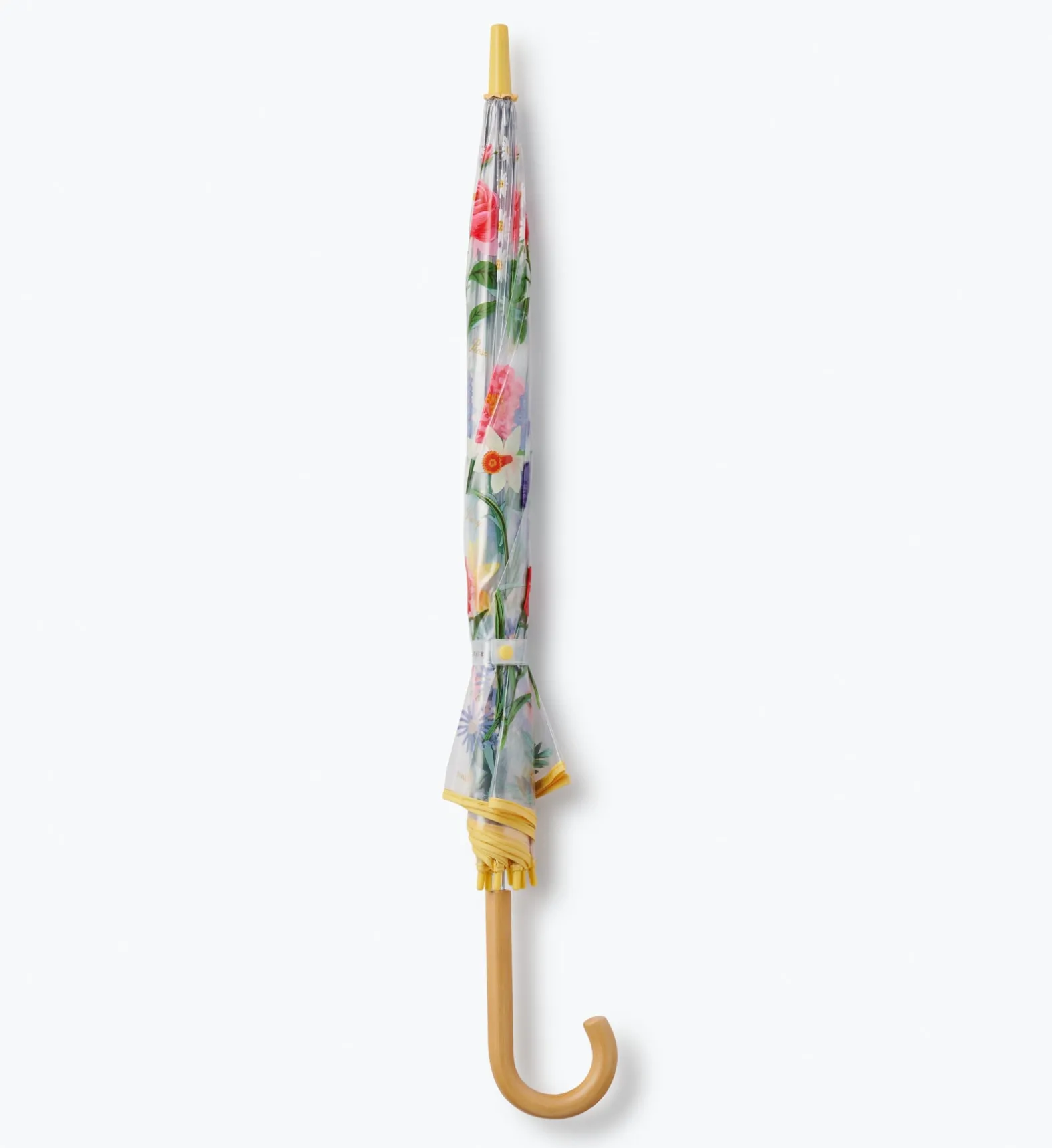 Umbrella