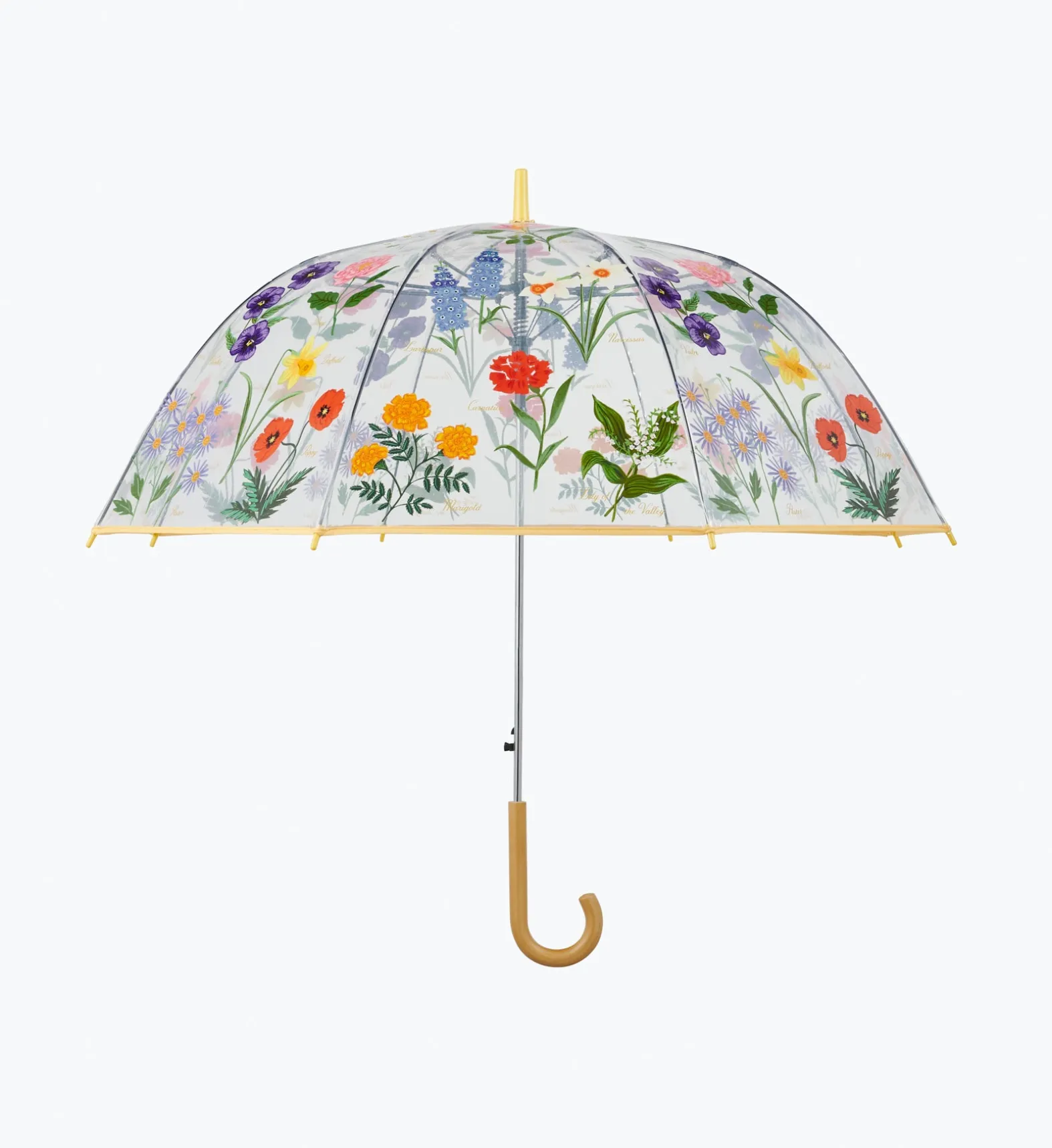 Umbrella
